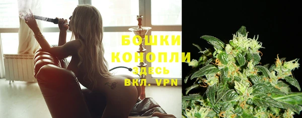 молекула духа Волоколамск