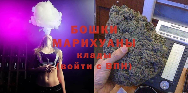 молекула духа Волоколамск