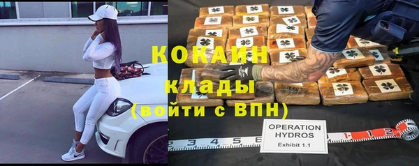 молекула духа Волоколамск